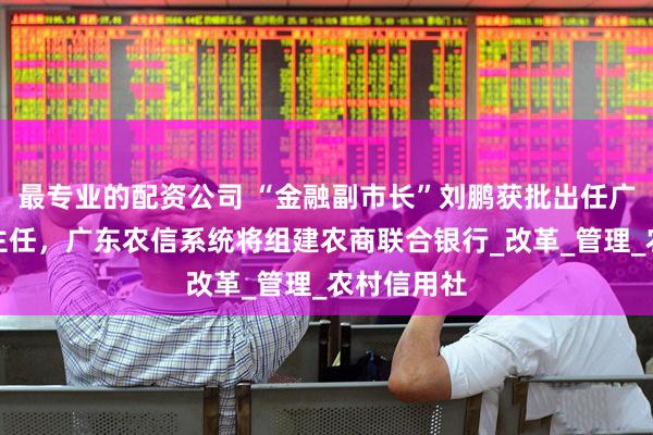 最专业的配资公司 “金融副市长”刘鹏获批出任广东省联社主任，广东农信系统将组建农商联合银行_改革_管理_农村信用社