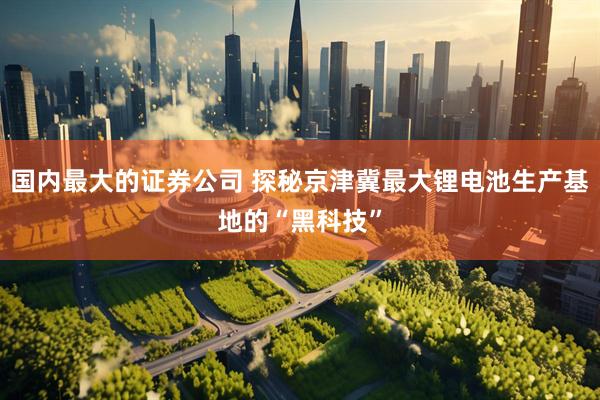 国内最大的证券公司 探秘京津冀最大锂电池生产基地的“黑科技”