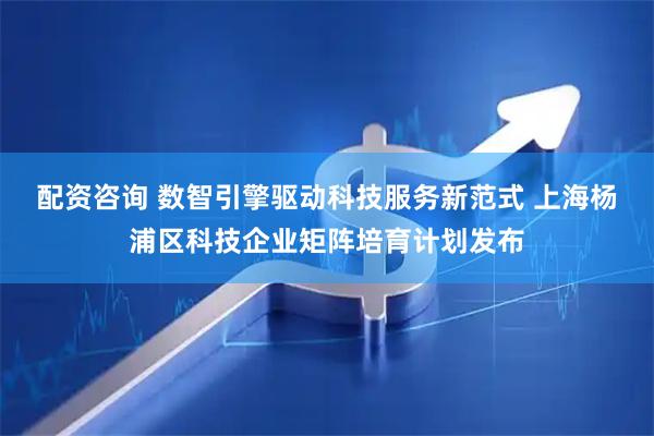 配资咨询 数智引擎驱动科技服务新范式 上海杨浦区科技企业矩阵培育计划发布